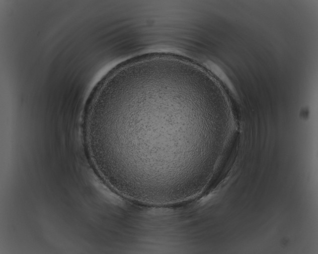 X0000093581068200710221459