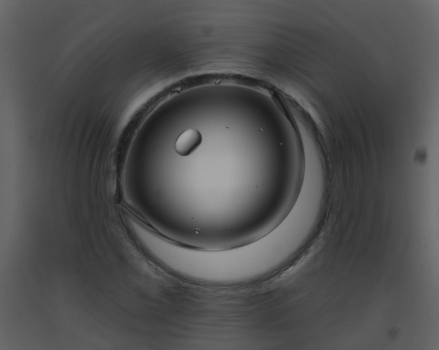 X0000093581069200710221459