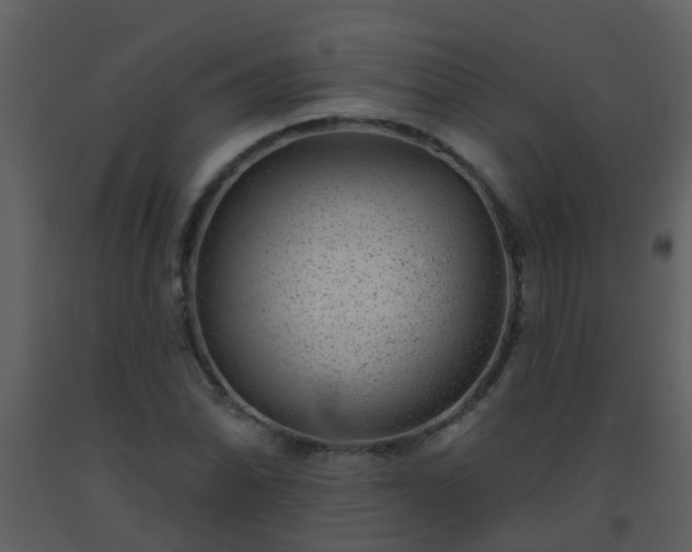 X0000093581070200710221459