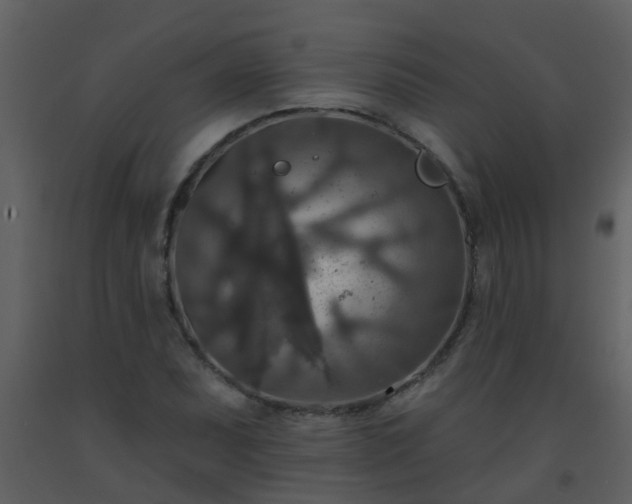 X0000093581071200710221459