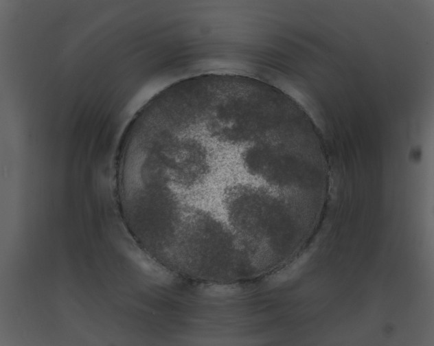 X0000093581074200710221459