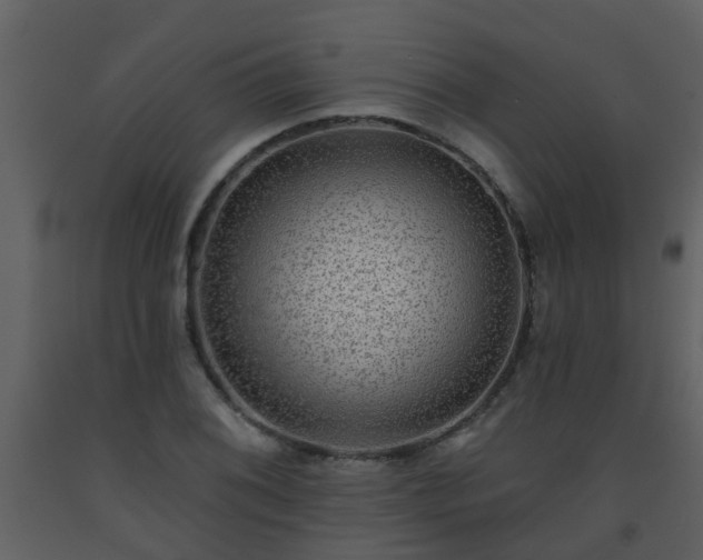 X0000093581076200710221458