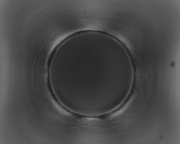 X0000093581077200710221458