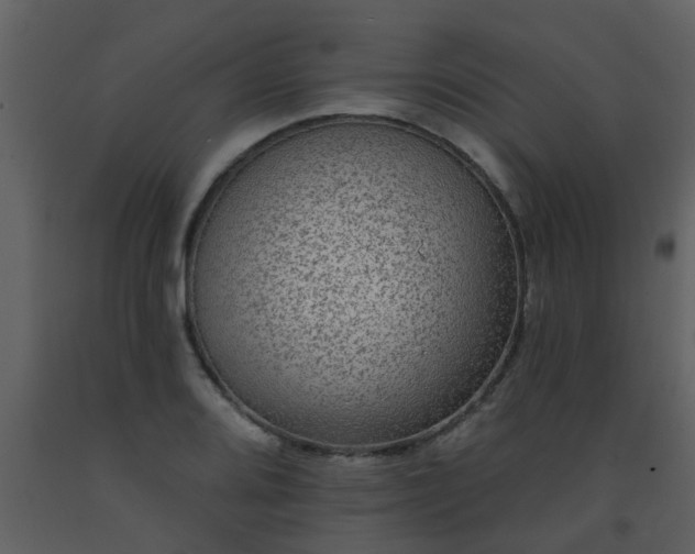 X0000093581080200710221458