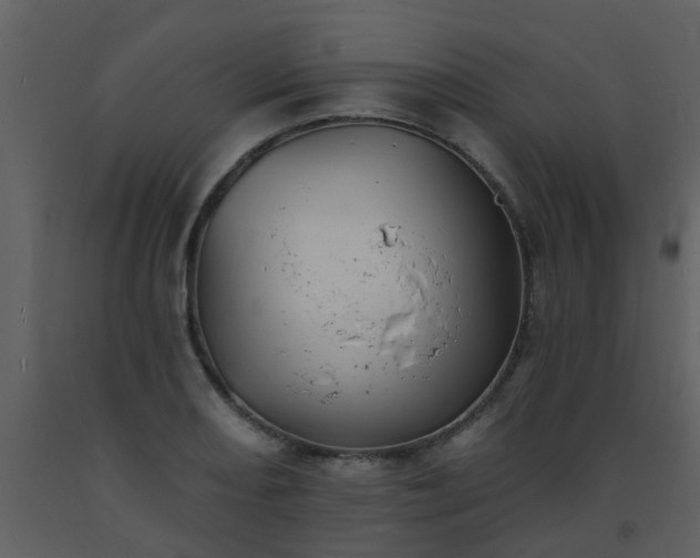 X0000093581082200710221458