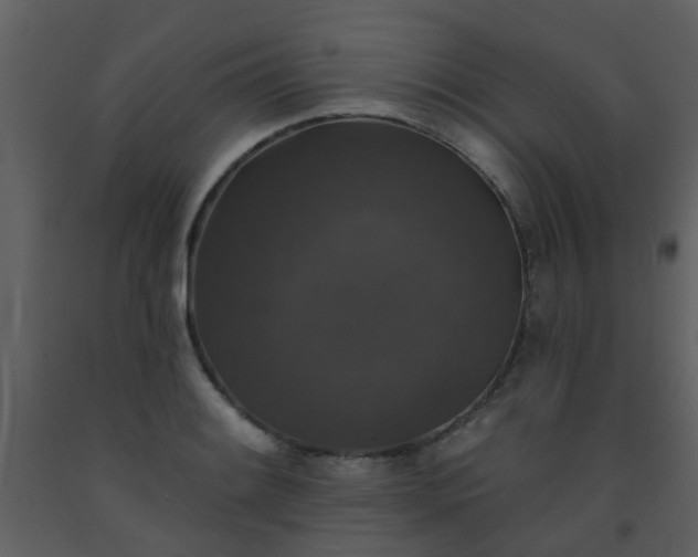 X0000093581084200710221458