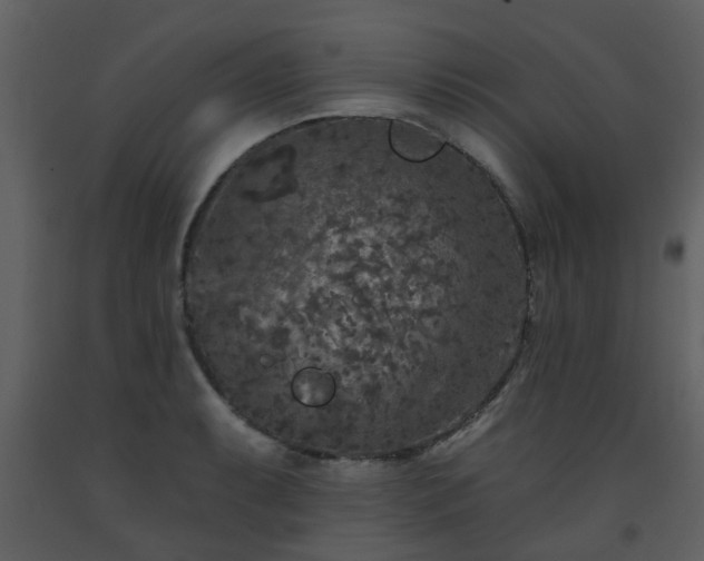 X0000093581087200710221458