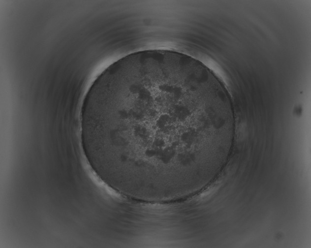X0000093581088200710221458