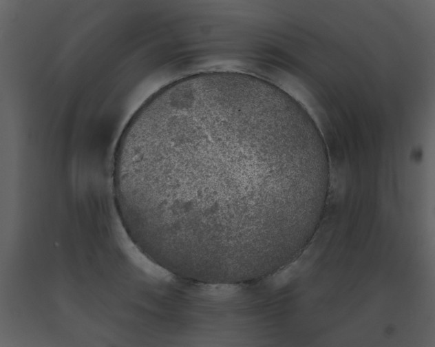 X0000093581090200710221458
