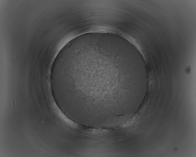 X0000093581091200710221458