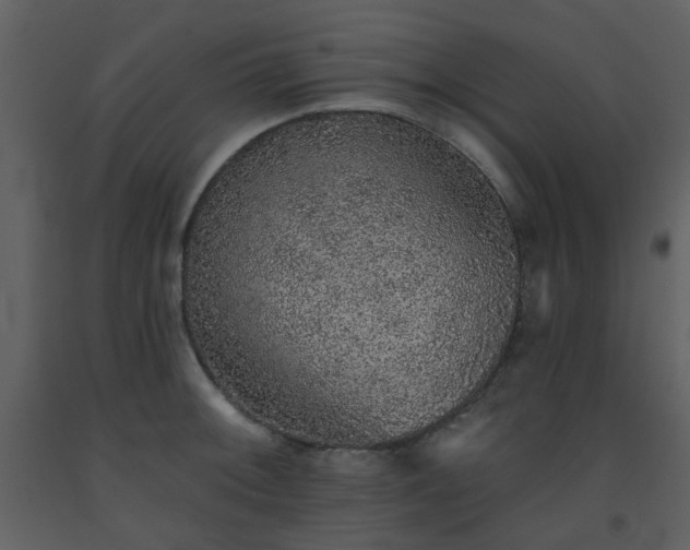 X0000093581092200710221458