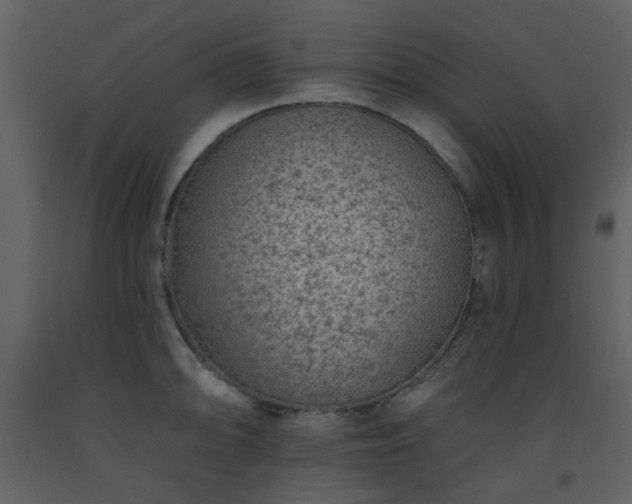 X0000093581094200710221458