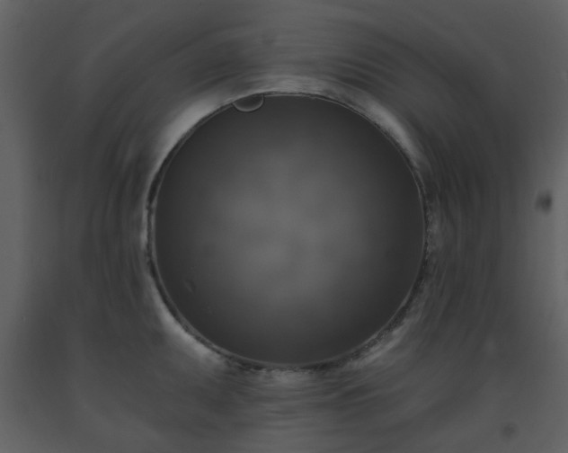 X0000093581095200710221458
