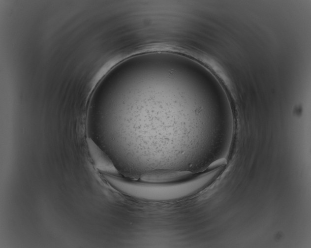 X0000093581097200710221458