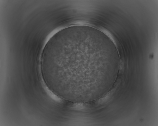 X0000093581098200710221458