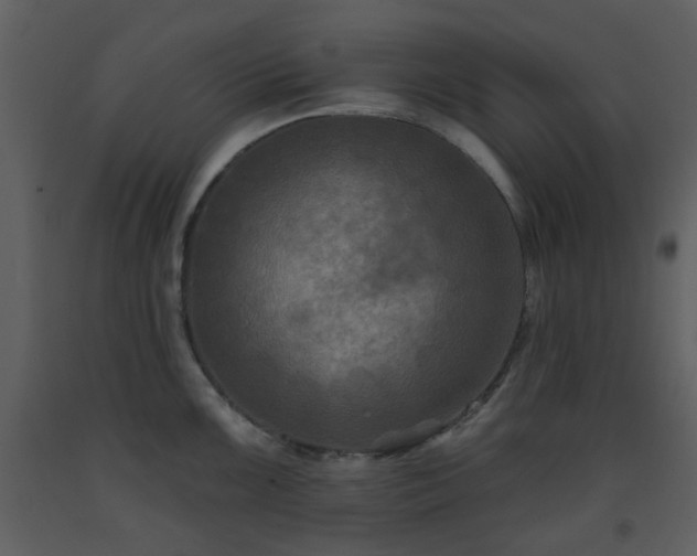 X0000093581099200710221458