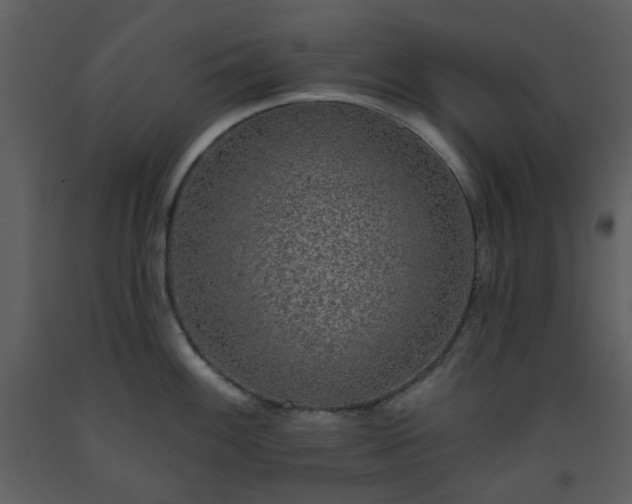 X0000093581100200710221458