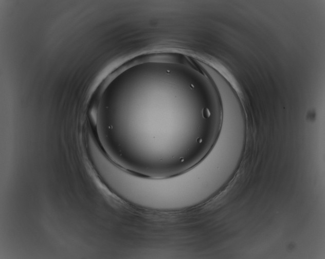 X0000093581101200710221458