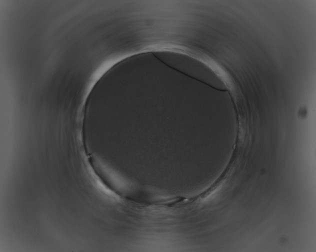 X0000093581102200710221458