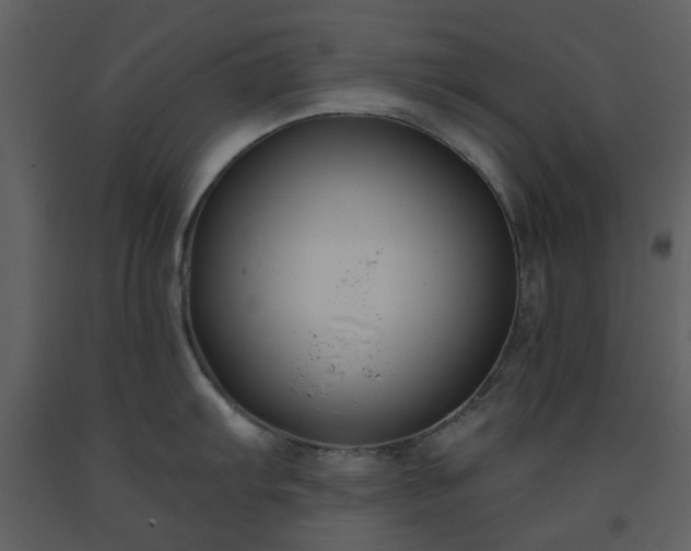 X0000093581103200710221458