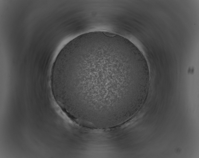 X0000093581104200710221458