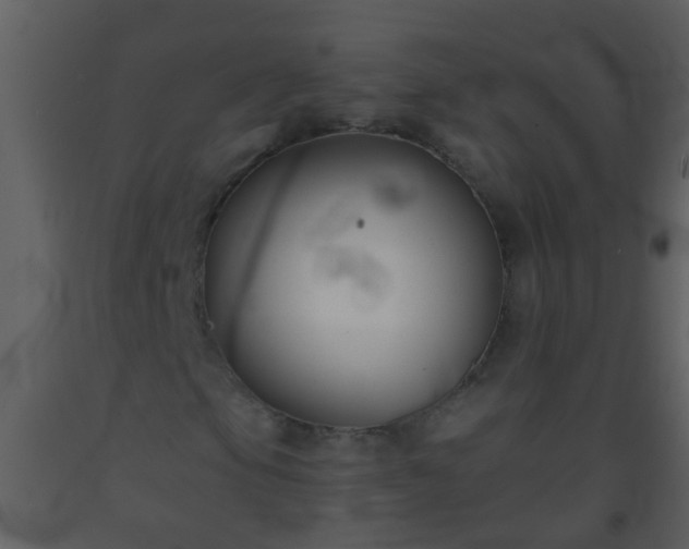X0000093581105200710221458