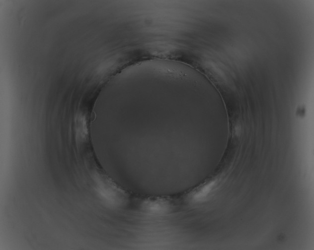 X0000093581106200710221458