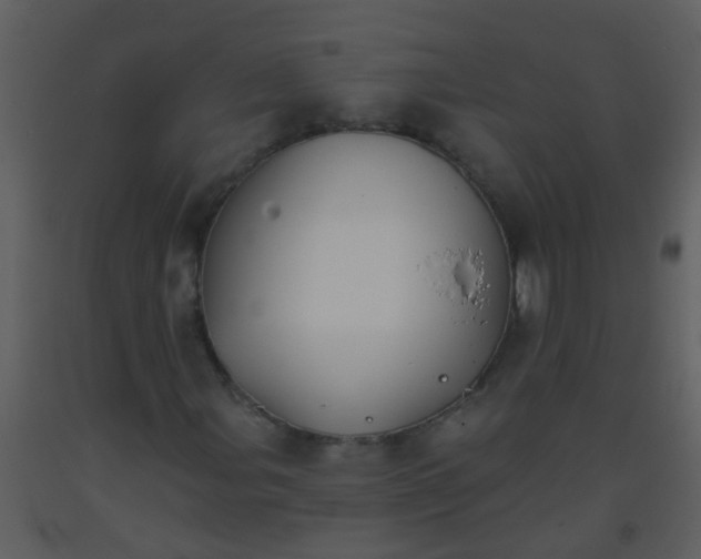 X0000093581107200710221458