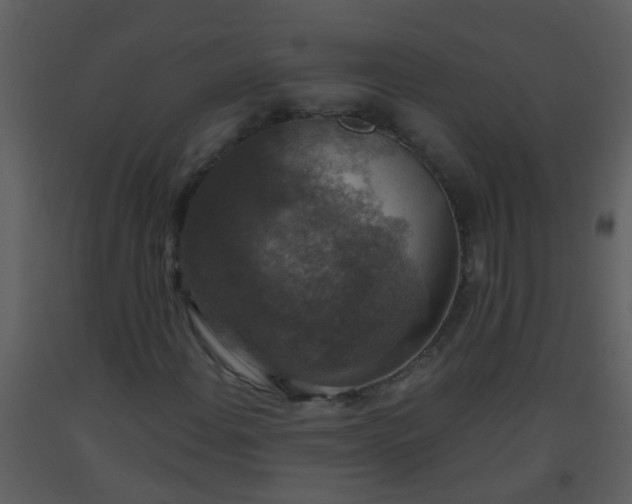 X0000093581108200710221458