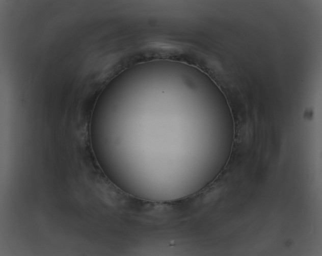 X0000093581109200710221458