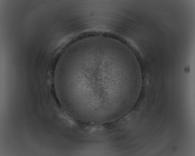 X0000093581110200710221458
