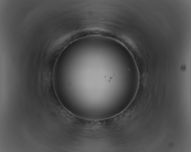 X0000093581111200710221458