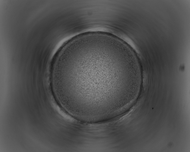 X0000093581116200710221458
