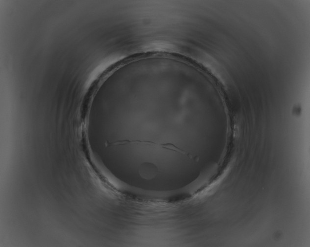 X0000093581117200710221458