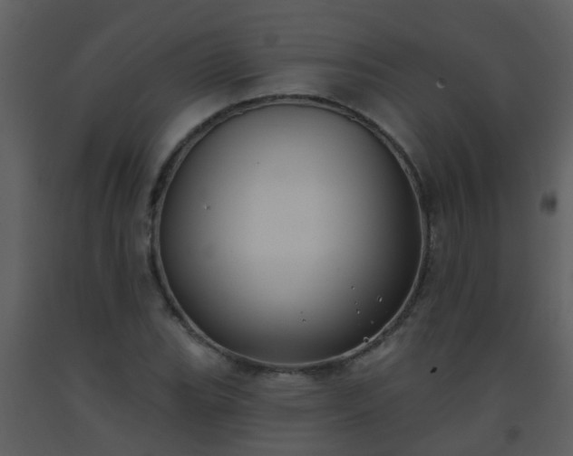 X0000093581119200710221458
