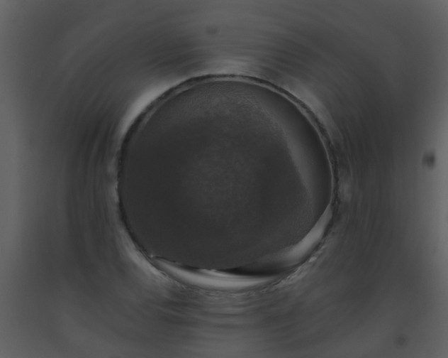 X0000093581120200710221458