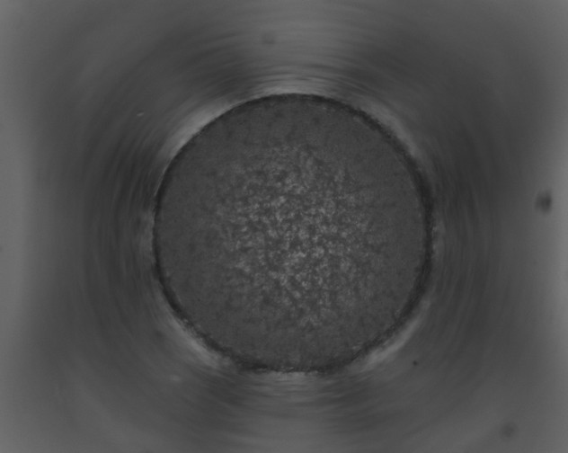 X0000093581121200710221458