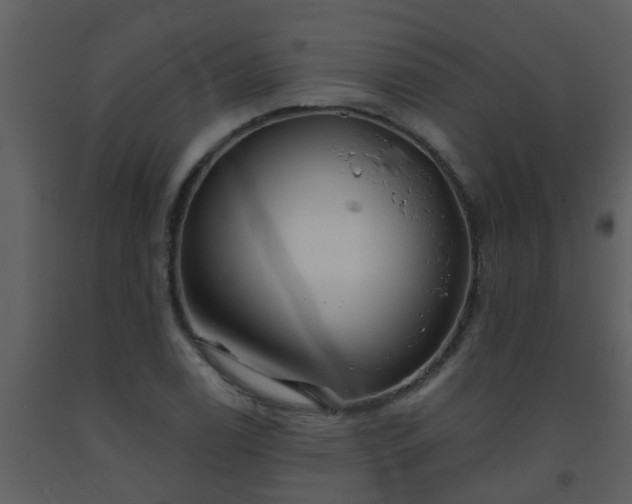 X0000093581122200710221458