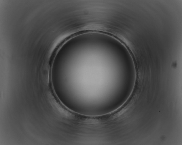 X0000093581123200710221458