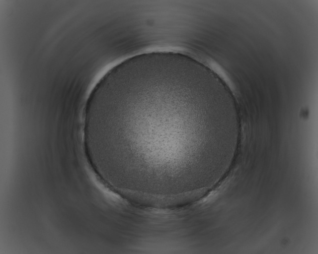 X0000093581124200710221458