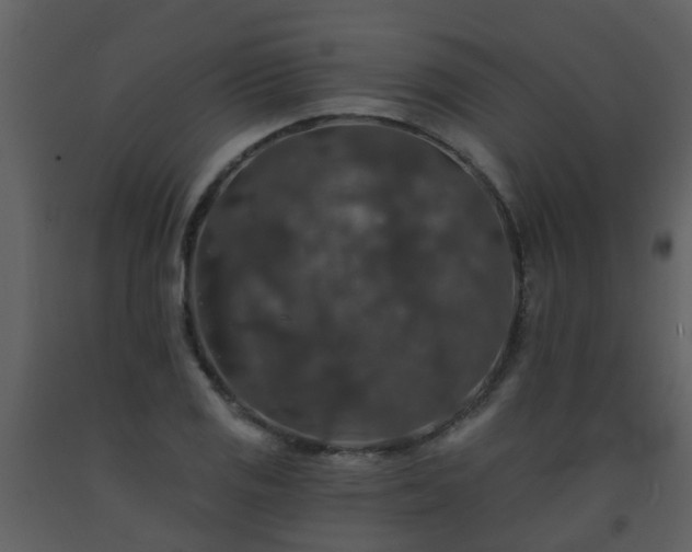 X0000093581125200710221458