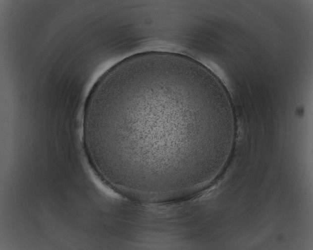 X0000093581128200710221458