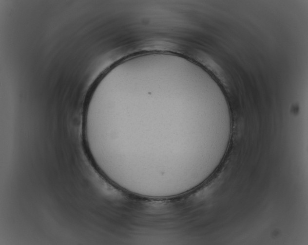 X0000093581130200710221458