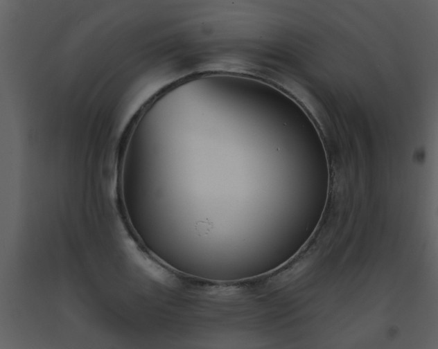 X0000093581131200710221458