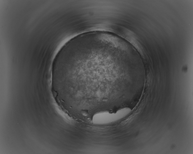 X0000093581132200710221458
