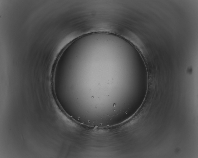 X0000093581135200710221458