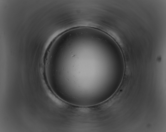 X0000093581136200710221458