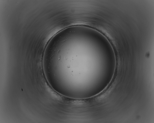 X0000093581137200710221458