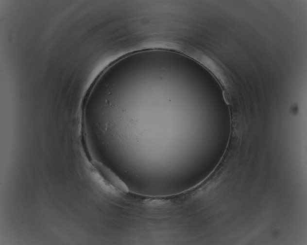 X0000093581140200710221458