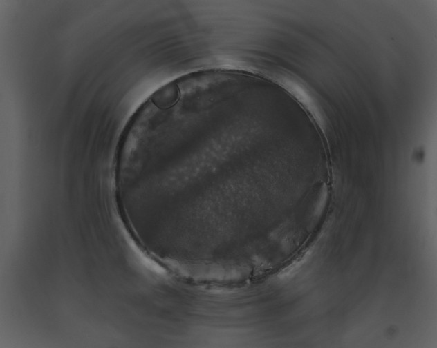 X0000093581141200710221458